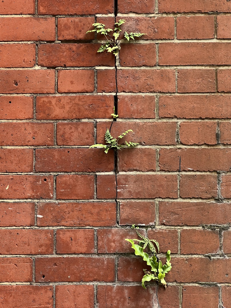Professional mason repointing and repairing residential brickwork to restore structural strength and curb appeal.